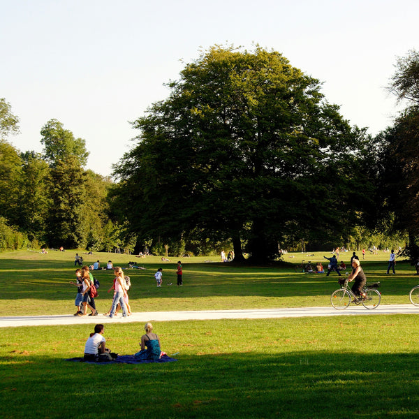 Park Architects