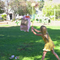 Digital Project Download: Piñata