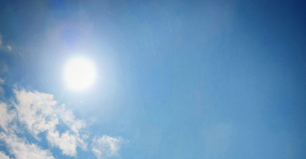 Solar Oven